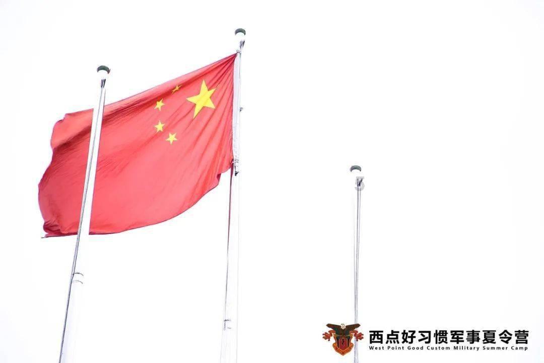 3D冰球对抗赛